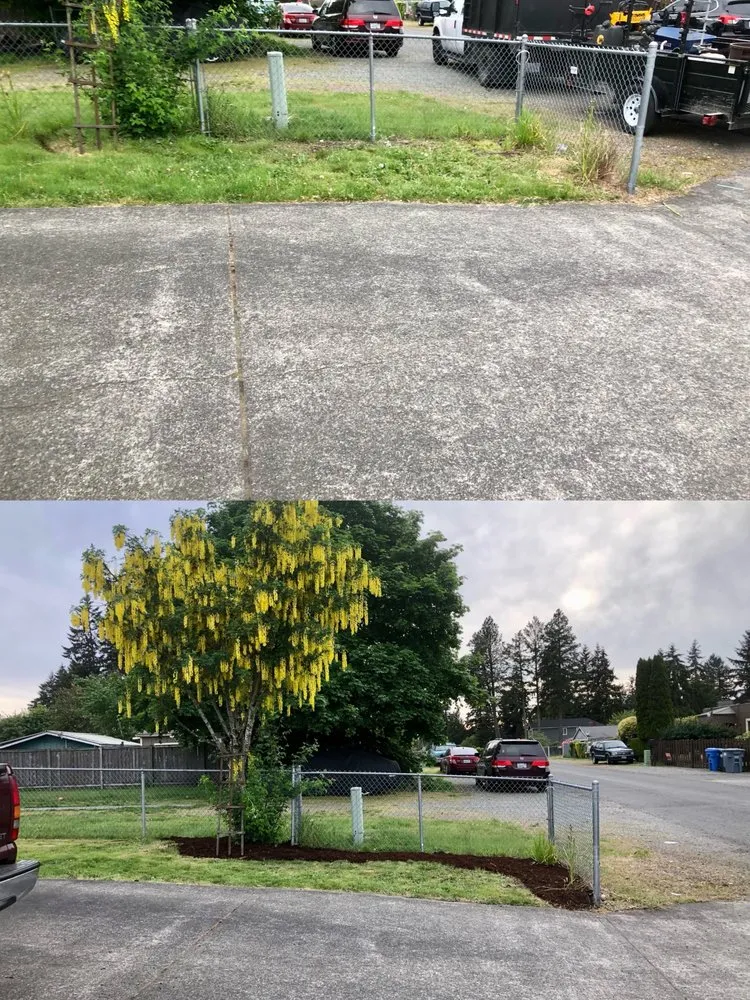 Affordable landscaping services for residential properties in Tacoma, WA by Anew Area Lawn Care & Landscaping