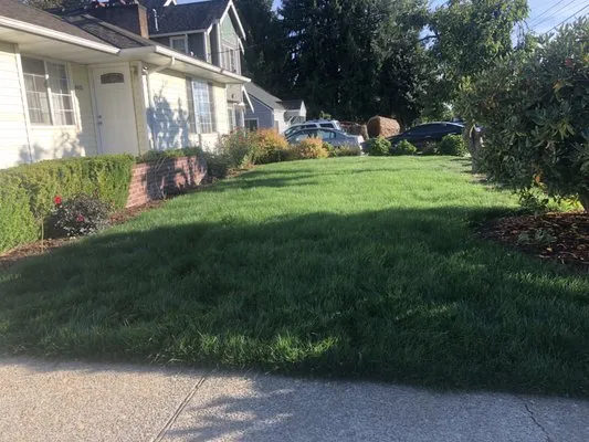 Anew Area Lawn Care & Landscaping