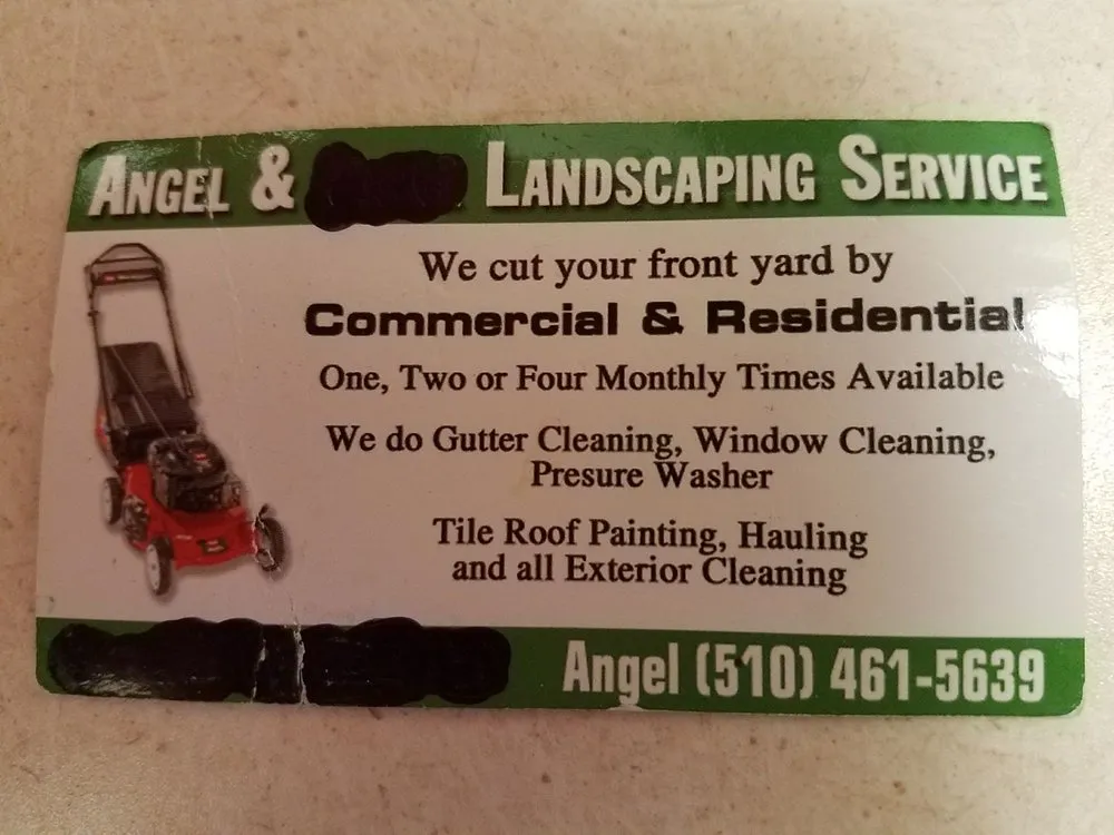 Professional landscape design in Fremont, CA by Angel & Landscaping Service