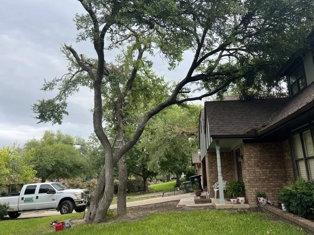 Trusted residential landscaping in Del Valle, TX - Angel and Jovanys Tree and Landscaping Services