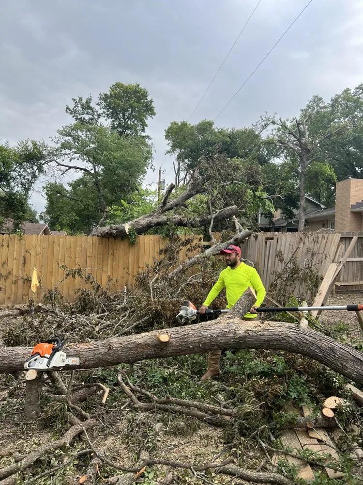 Reliable landscape installation experts serving Del Valle, TX - Angel and Jovanys Tree and Landscaping Services