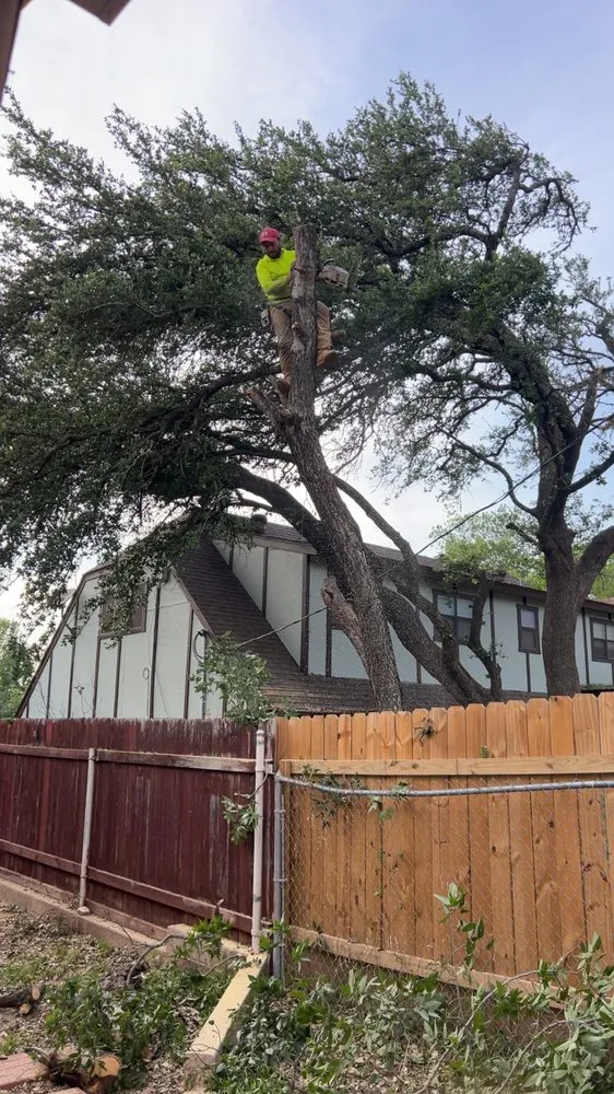 Trusted lawn care service in Del Valle, TX by Angel and Jovanys Tree and Landscaping Services
