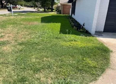 Top-rated yard maintenance experts serving Crowley, TX - Angel Bonilla Landscaping Services