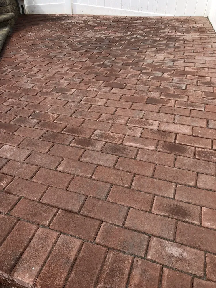 Expert yard cleanup service for beautiful yards across Hamilton, NJ - Angel Del Paraiso