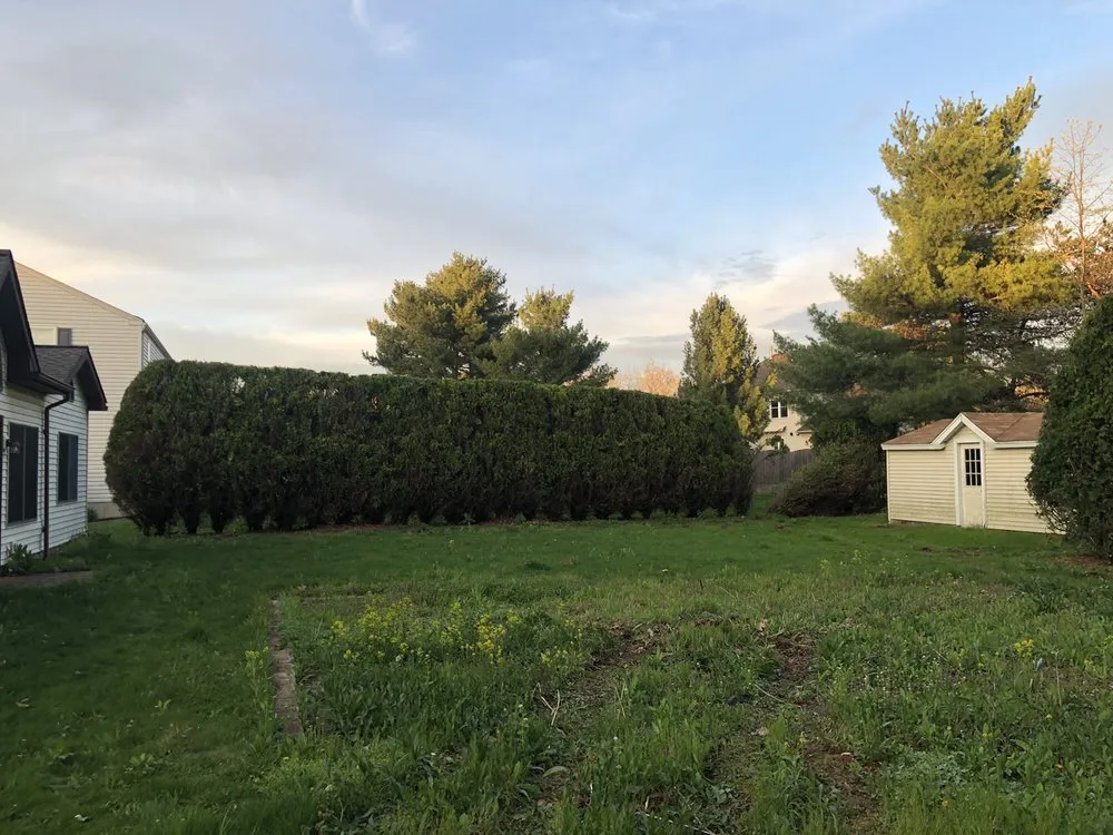 Local landscape installation experts serving Hamilton, NJ - Angel Del Paraiso