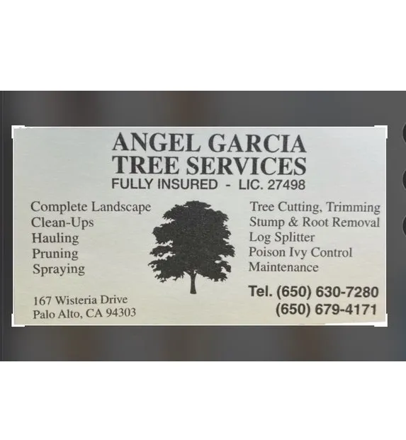 Expert lawn care service in East Palo Alto, CA by Angel Garcias Tree Services