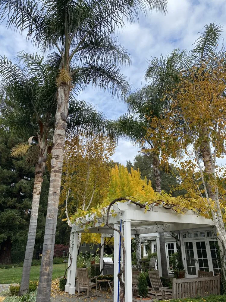 Professional landscape design for outdoor upgrades across East Palo Alto, CA - Angel Garcias Tree Services