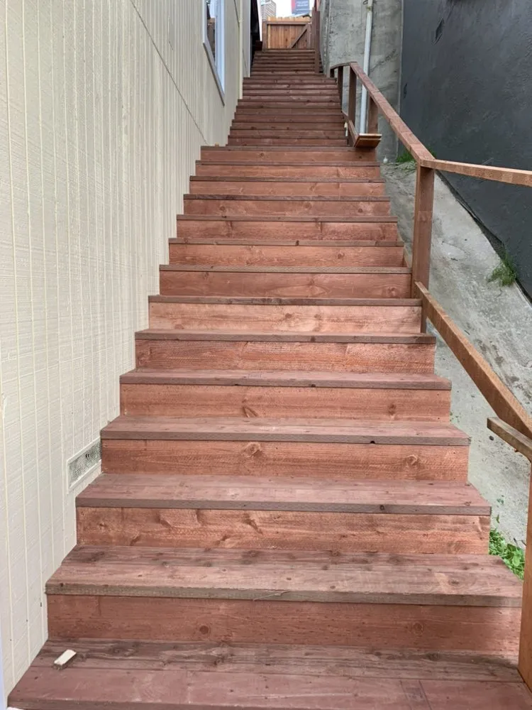 Professional lawn care service for homes in San Mateo, CA by Angel Gardens & Landscaping