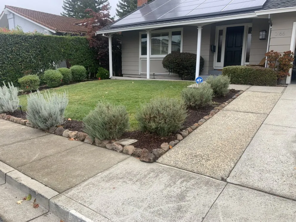 Top-rated outdoor landscaping for homes in San Mateo, CA by Angel Gardens & Landscaping