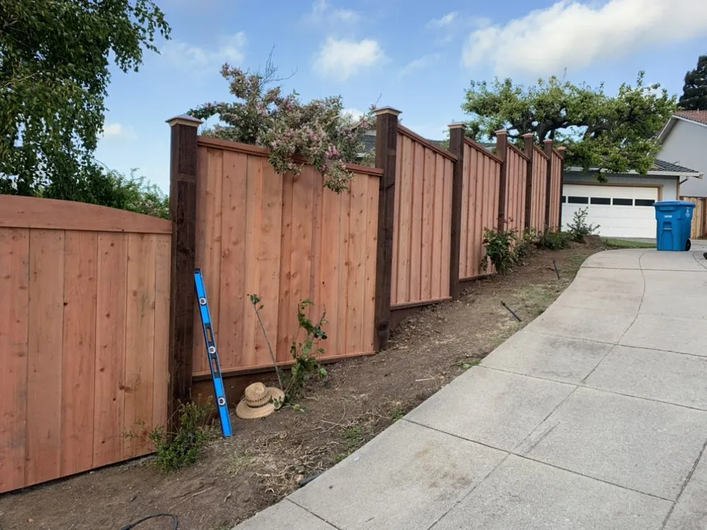 Professional lawn mowing service in San Mateo, CA - Angel Gardens & Landscaping