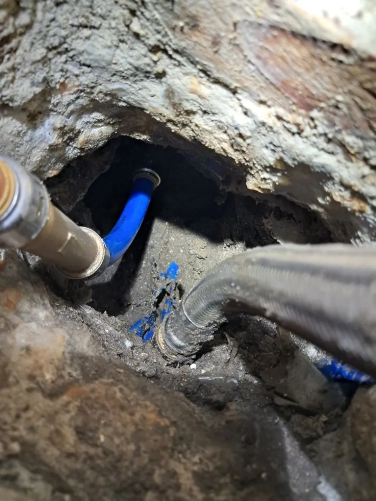 Reliable landscaping services in conway, SC - Angel Hands