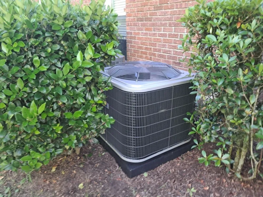 Professional landscaping services in conway, SC - Angel Hands