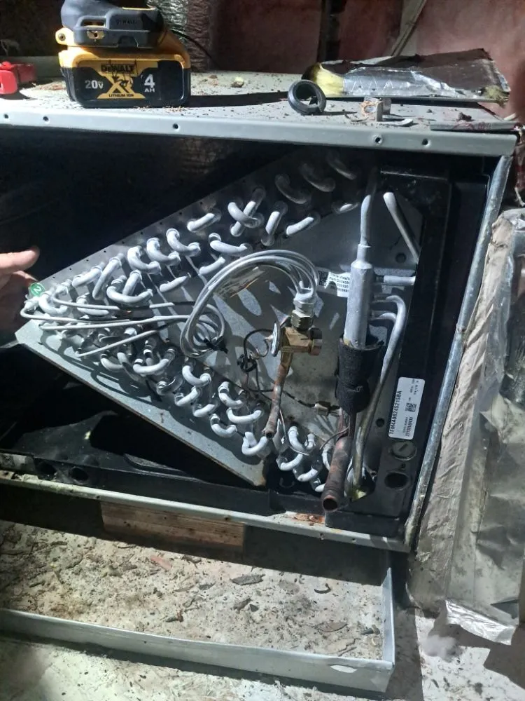 Expert landscaping services experts serving conway, SC - Angel Hands