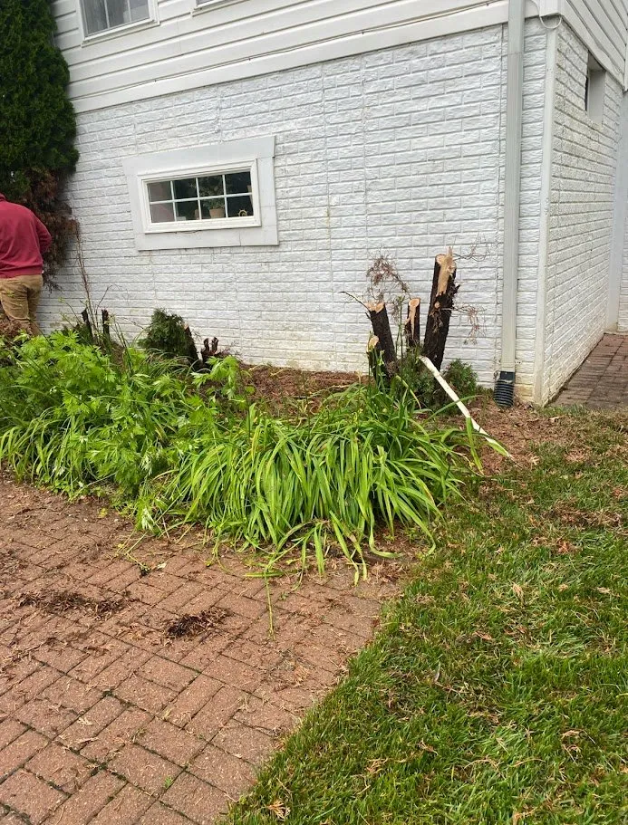 Custom lawn care service with custom design across Baltimore, MD - Angel Heriberto Landscaping