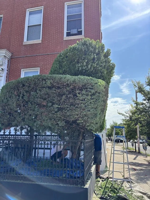 Reliable residential landscaping in Baltimore, MD by Angel Heriberto Landscaping