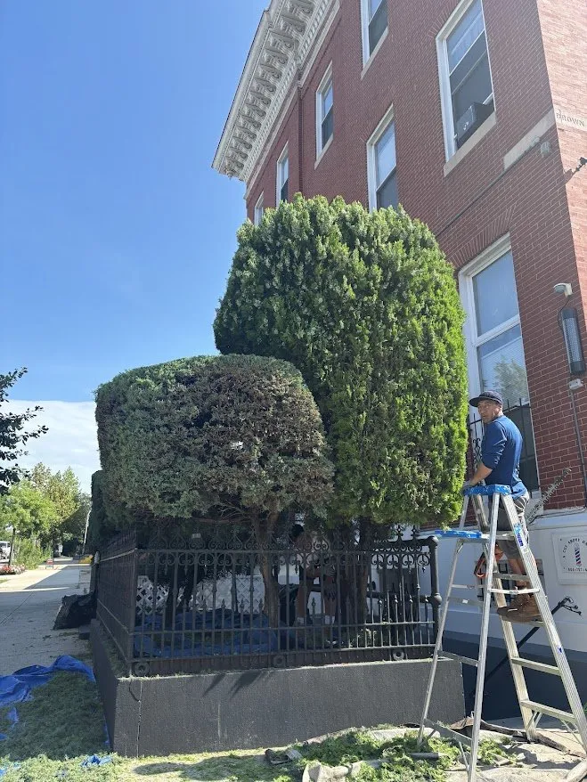 Local landscape installation experts serving Baltimore, MD - Angel Heriberto Landscaping