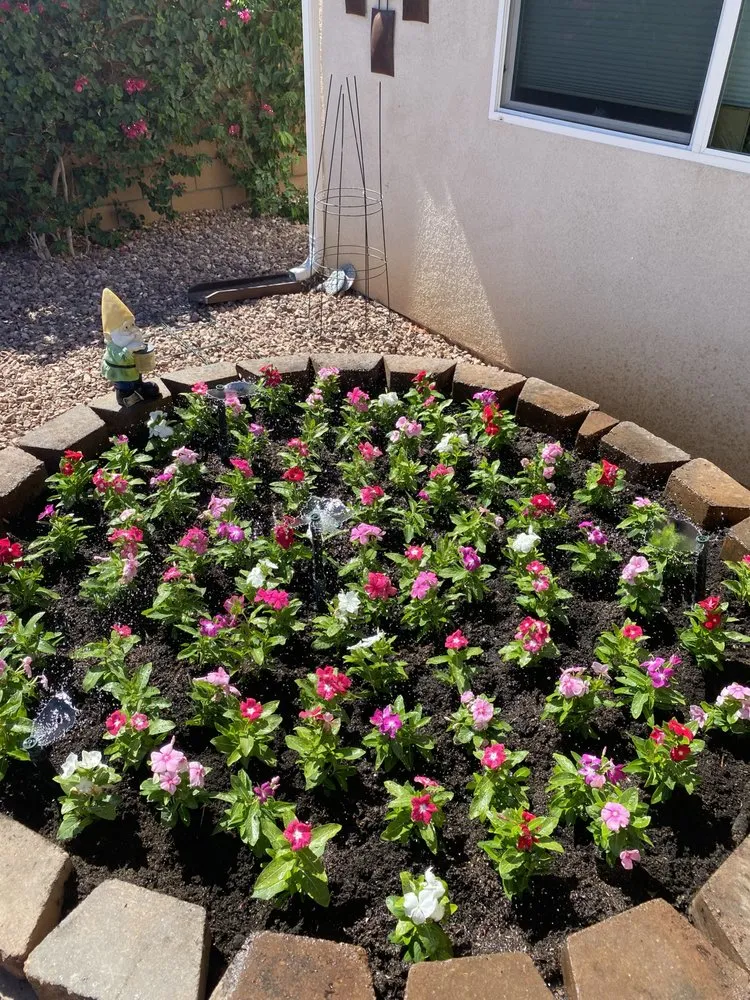 Local outdoor landscaping in Thousand Palms, CA - Angel Herrera Landscaping