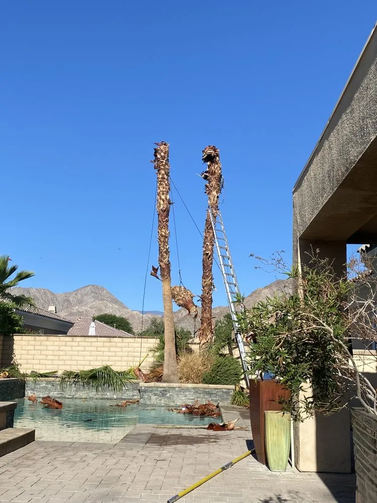 Expert lawn care service with custom design in Thousand Palms, CA by Angel Herrera Landscaping