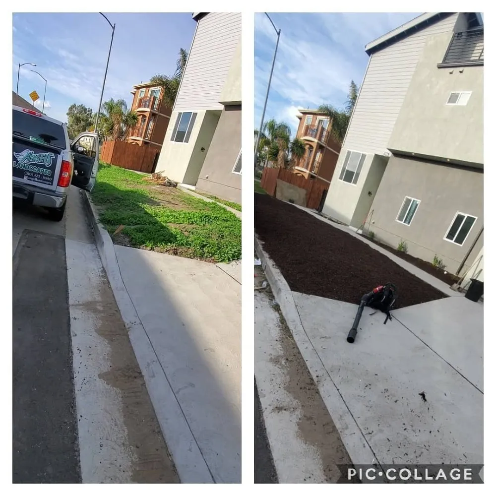 Top-rated landscape design for year-round maintenance in Compton, CA by Angel Landscape