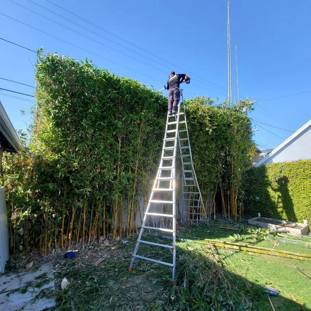Custom outdoor landscaping in Compton, CA - Angel Landscape