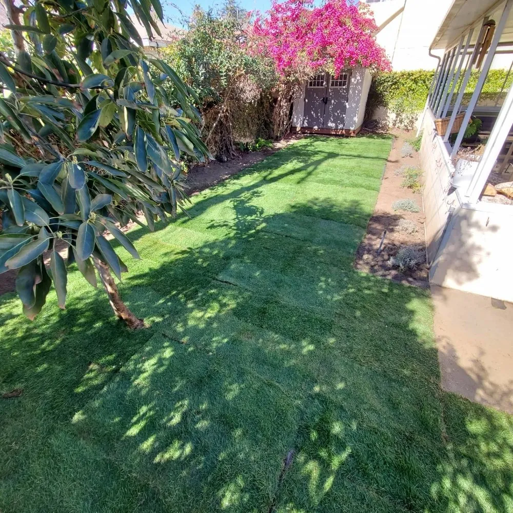 Local lawn care service in Compton, CA - Angel Landscape