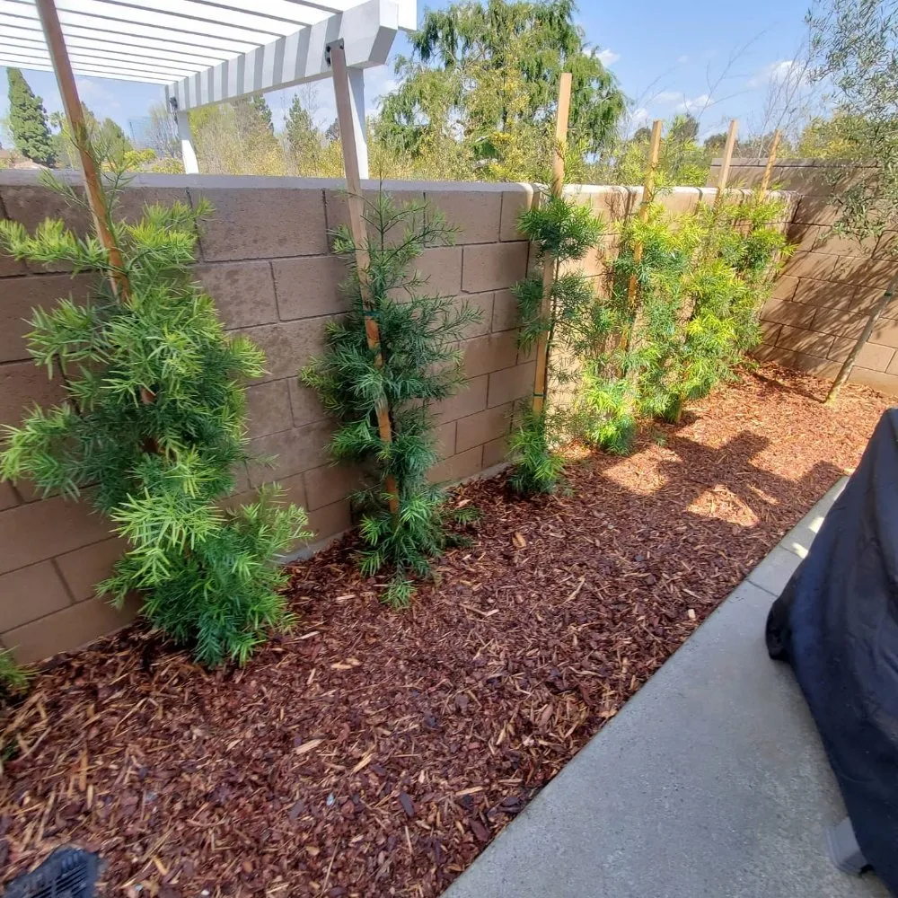 Trusted garden landscaping in Compton, CA by Angel Landscape