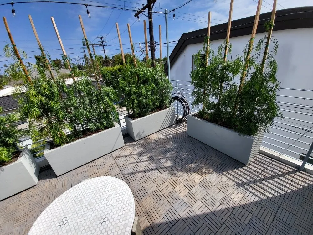 Local landscaping services experts serving Compton, CA - Angel Landscape