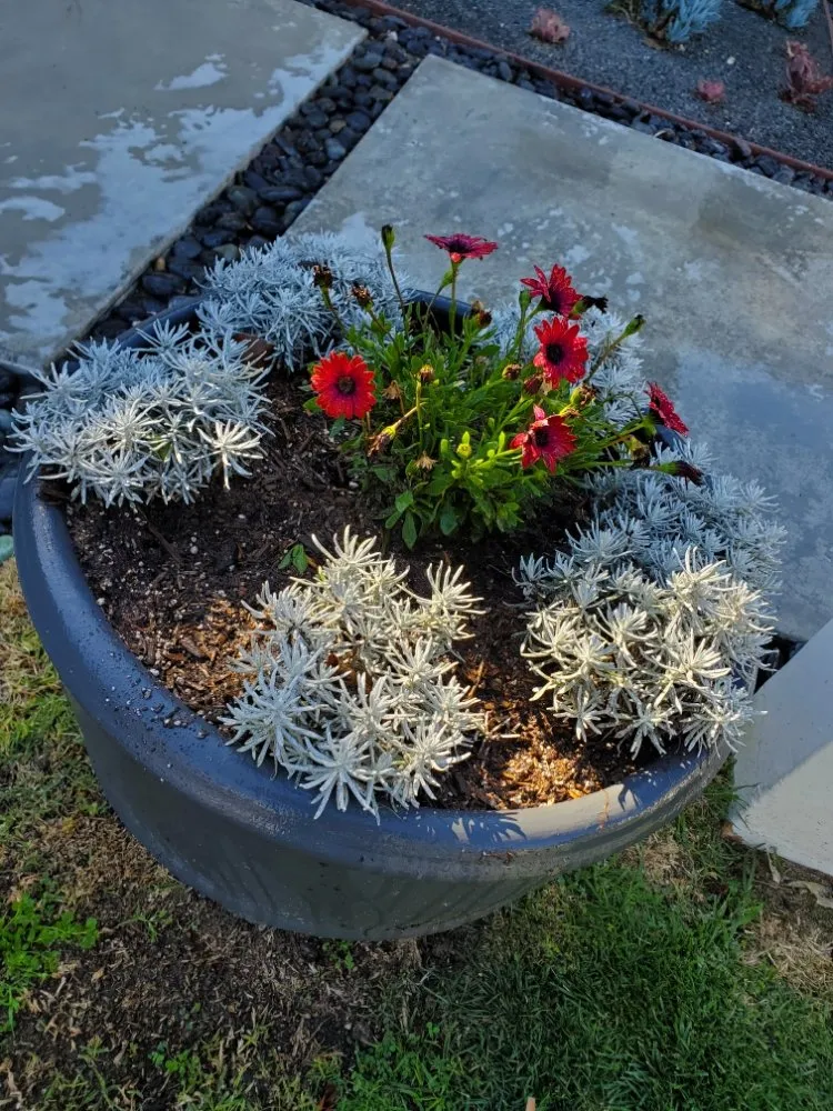 Expert landscape installation with custom design across Compton, CA - Angel Landscape