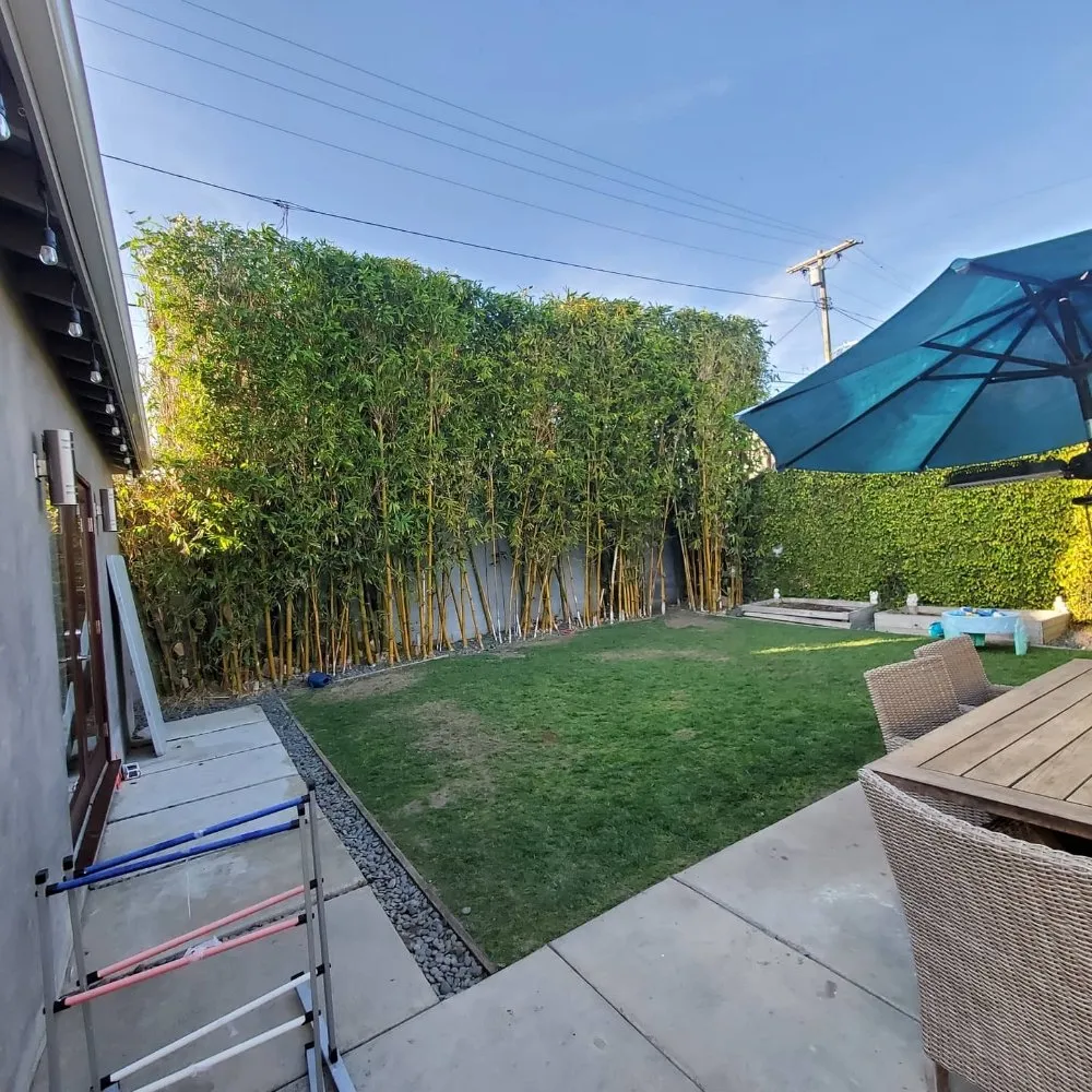 Affordable landscaping services in Compton, CA by Angel Landscape