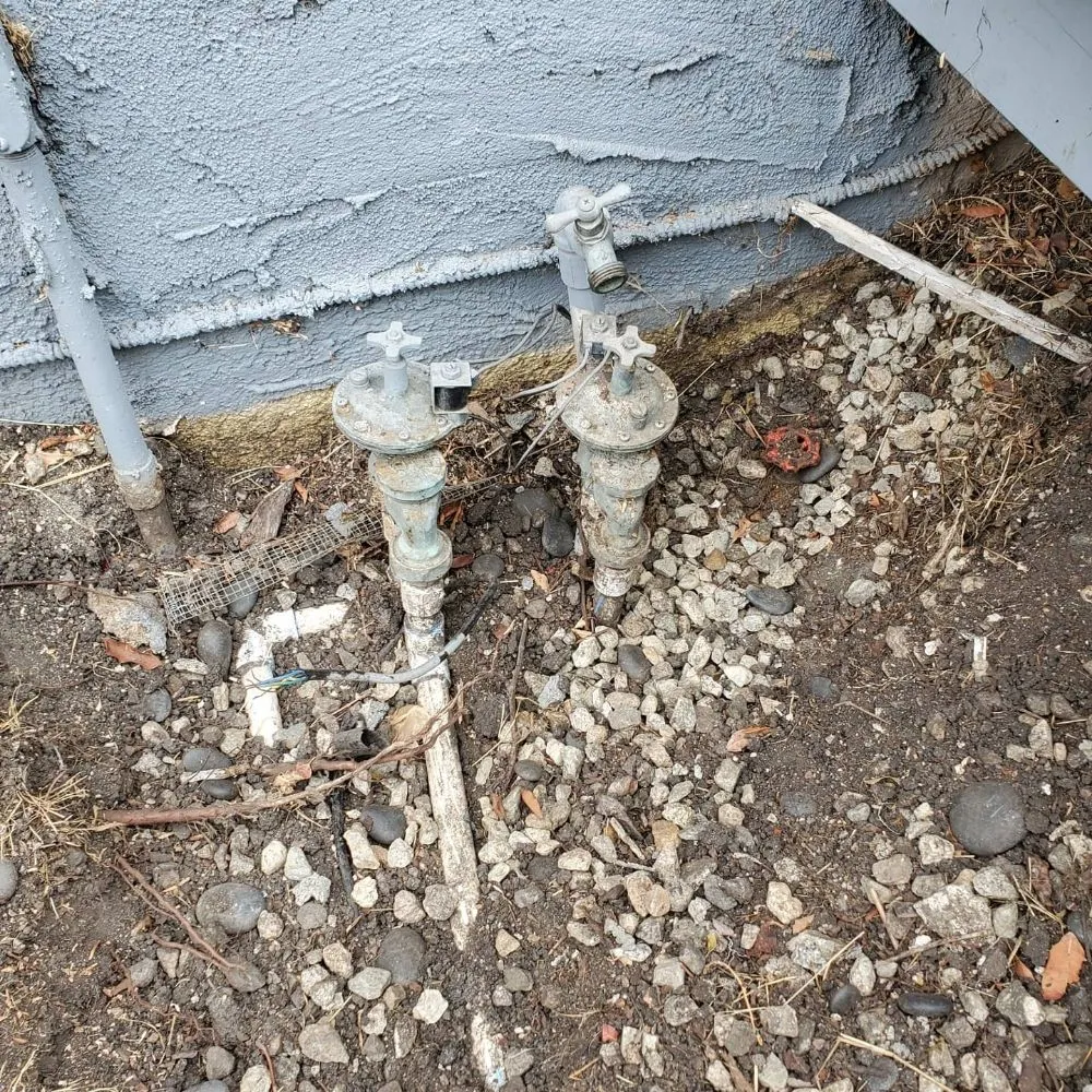 Professional residential landscaping for residential properties in Compton, CA by Angel Landscape