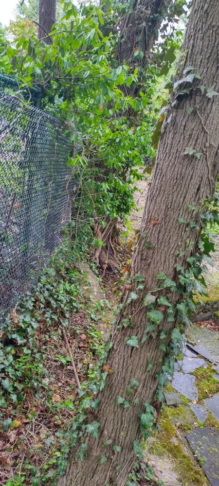 Expert garden landscaping experts serving New York, NY - Angel Landscape