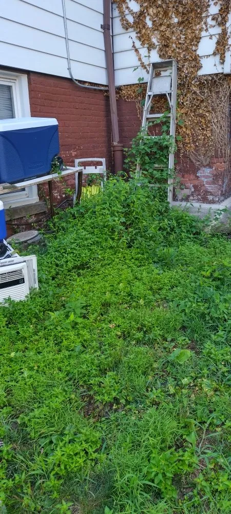 Professional landscape installation with custom design across New York, NY - Angel Landscape