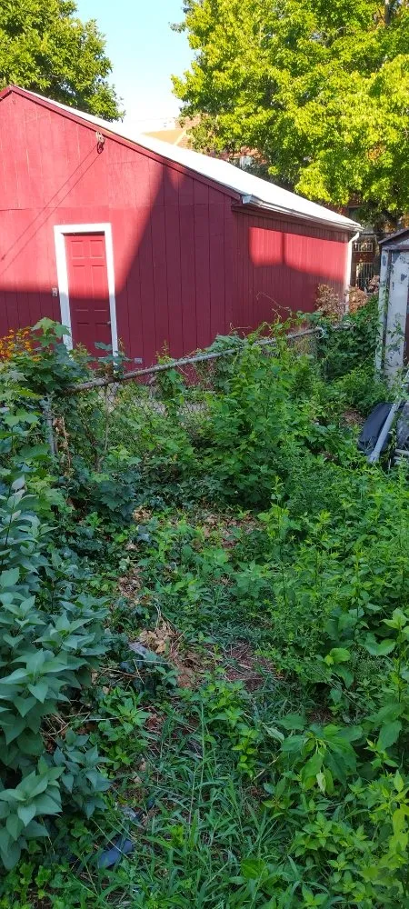 Top-rated yard maintenance experts serving New York, NY - Angel Landscape