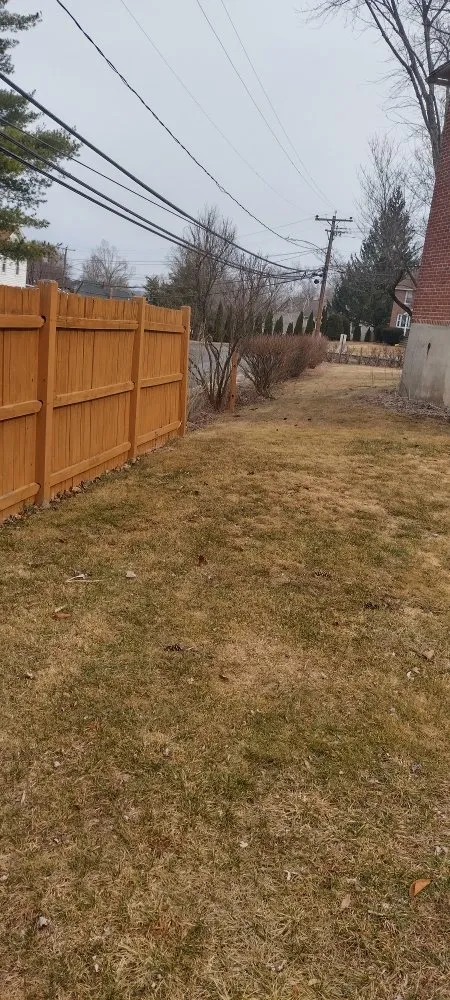 Professional yard cleanup service experts serving New York, NY - Angel Landscape