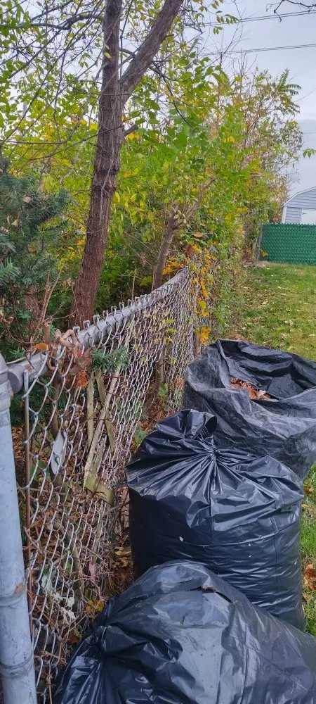 Affordable lawn mowing service in New York, NY by Angel Landscape