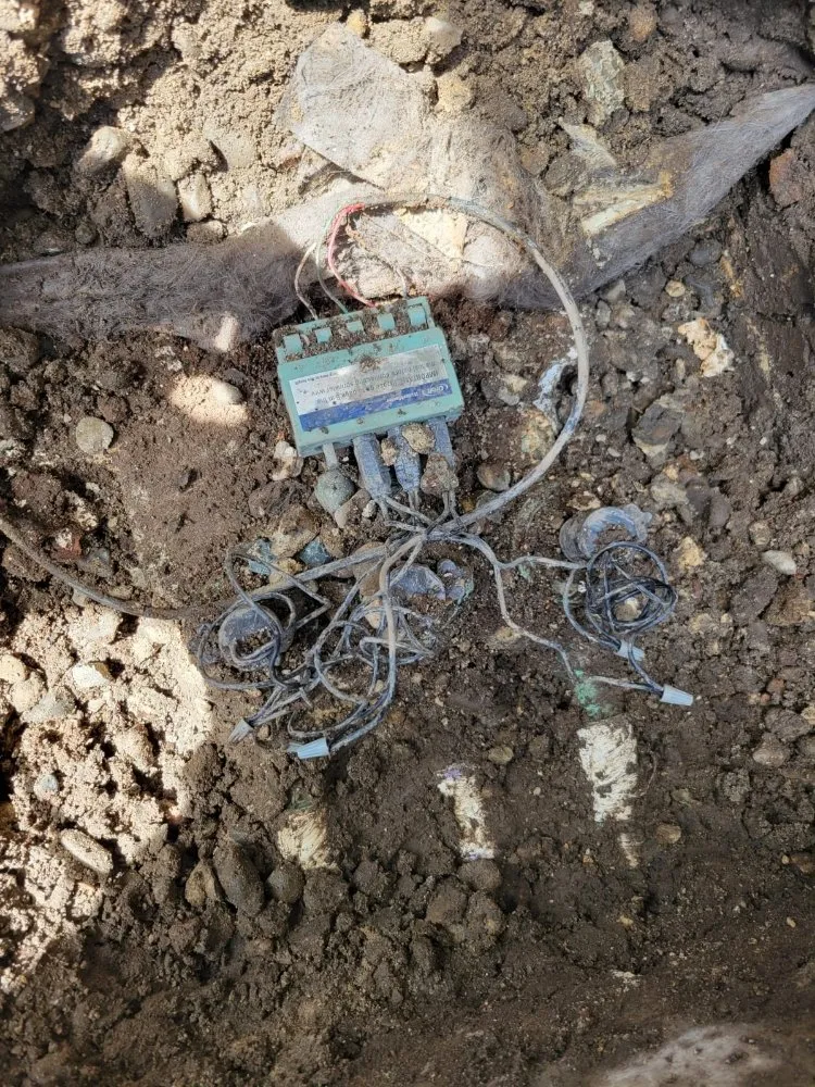 Expert yard cleanup service in San Jose, CA - Angel Landscaping & Maintenance