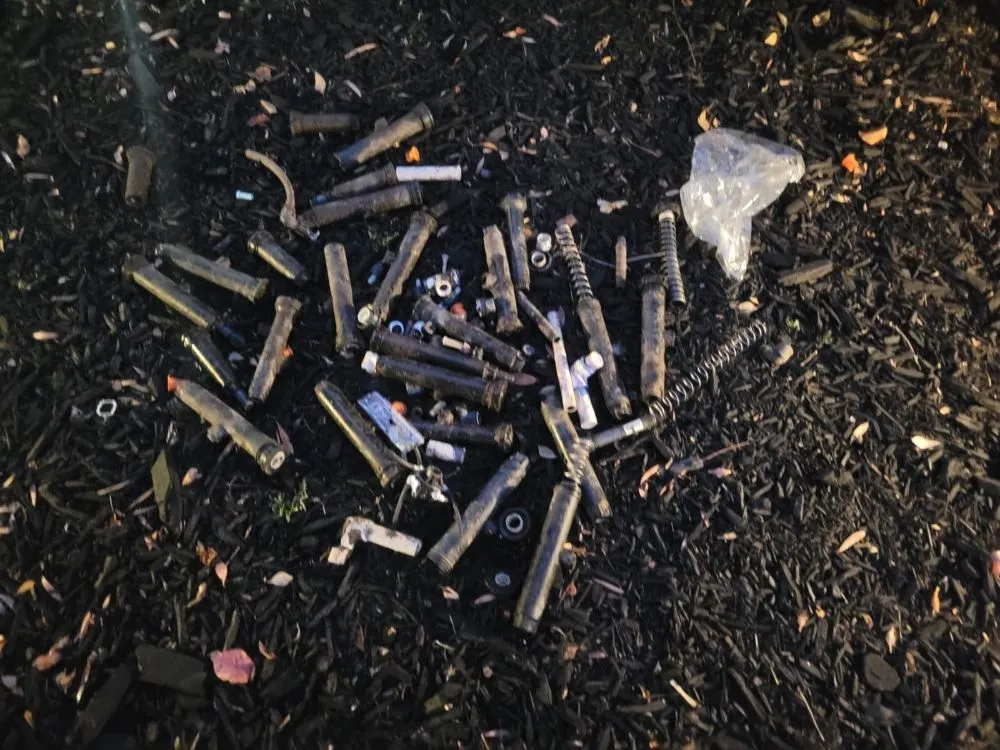 Local yard cleanup service with custom design in San Jose, CA by Angel Landscaping & Maintenance