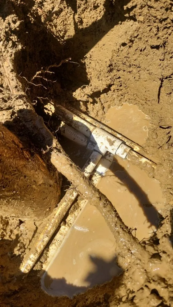 Local garden landscaping experts serving San Jose, CA - Angel Landscaping & Maintenance