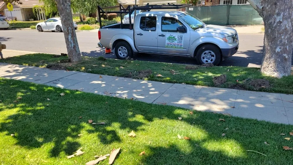 Custom yard maintenance for homes across San Jose, CA - Angel Landscaping & Maintenance