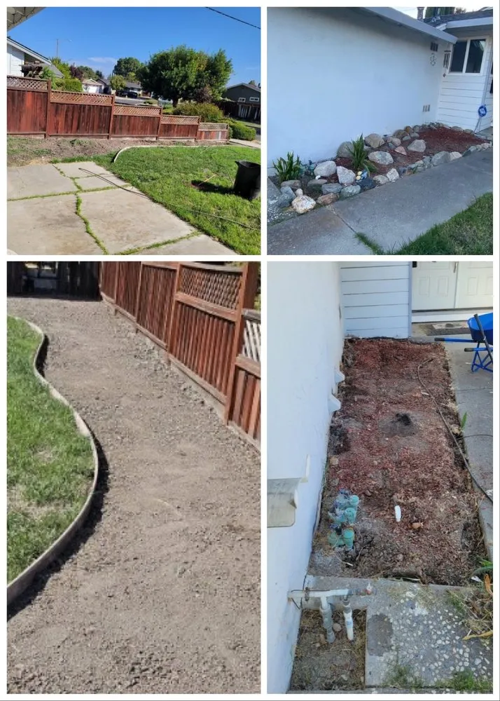 Trusted yard cleanup service in San Jose, CA by Angel Landscaping & Maintenance