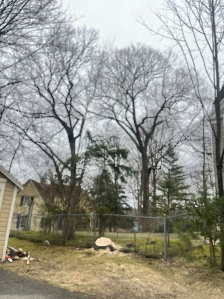 Custom lawn care service in Waltham, MA by Angel Landscaping & Tree Service