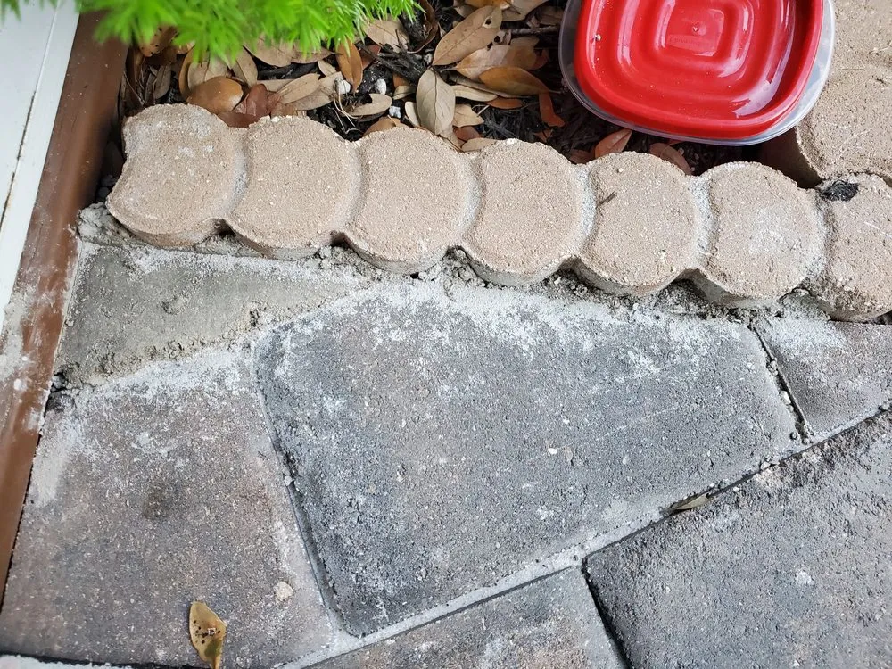 Top-rated yard maintenance in Clearwater, FL - Angel Landscaping