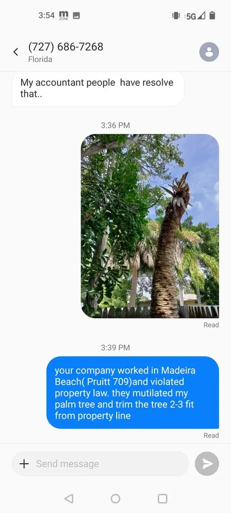 Expert garden landscaping experts serving Clearwater, FL - Angel Landscaping