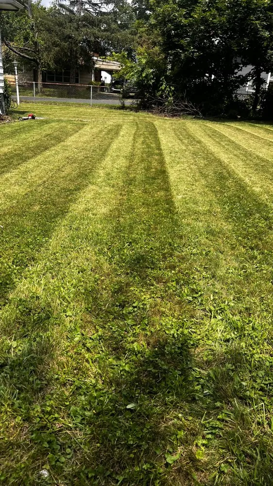 Expert landscaping services experts serving New Brunswick, NJ - Angel Landscaping