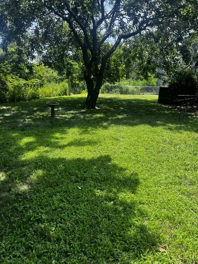 Expert yard cleanup service in New Brunswick, NJ - Angel Landscaping