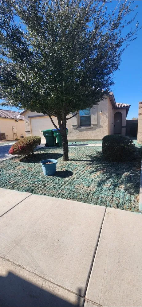 Expert lawn care service in Phoenix, AZ - Angel Landscaping