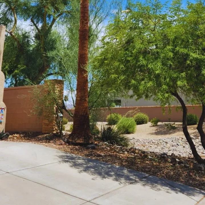 Reliable landscaping services for homes across Phoenix, AZ - Angel Landscaping
