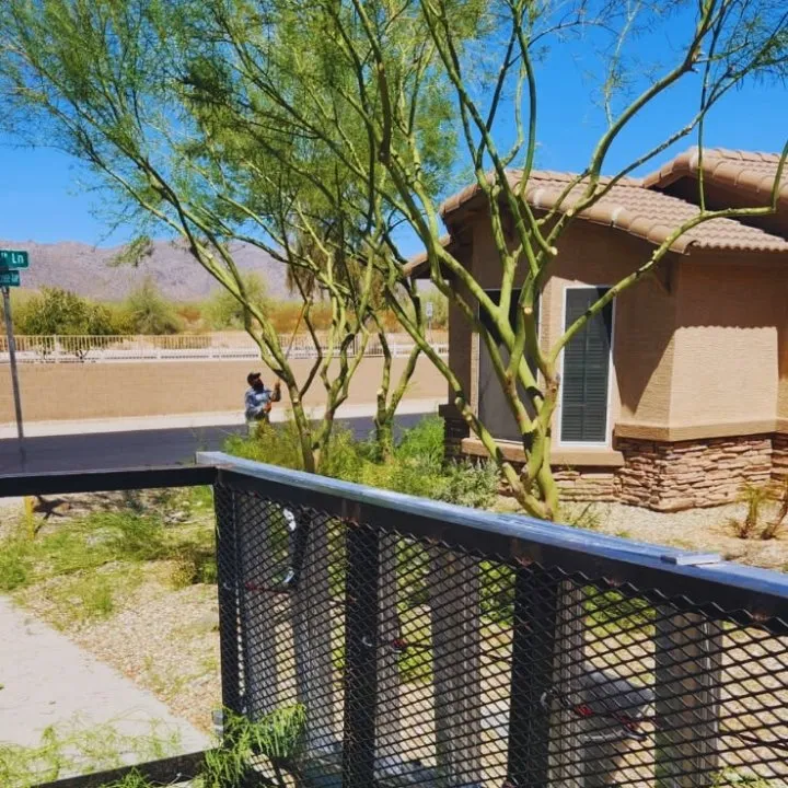 Affordable landscape design for outdoor upgrades across Phoenix, AZ - Angel Landscaping