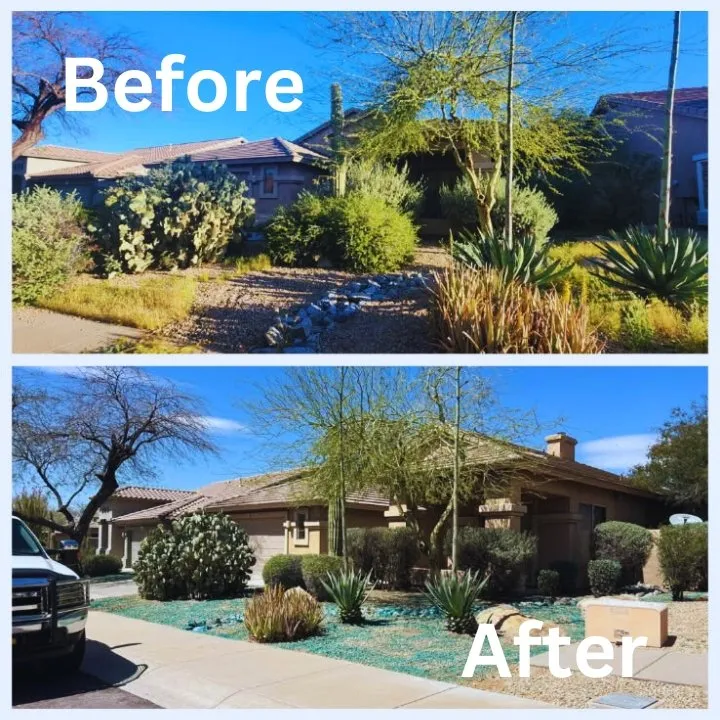 Top-rated landscape design experts serving Phoenix, AZ - Angel Landscaping