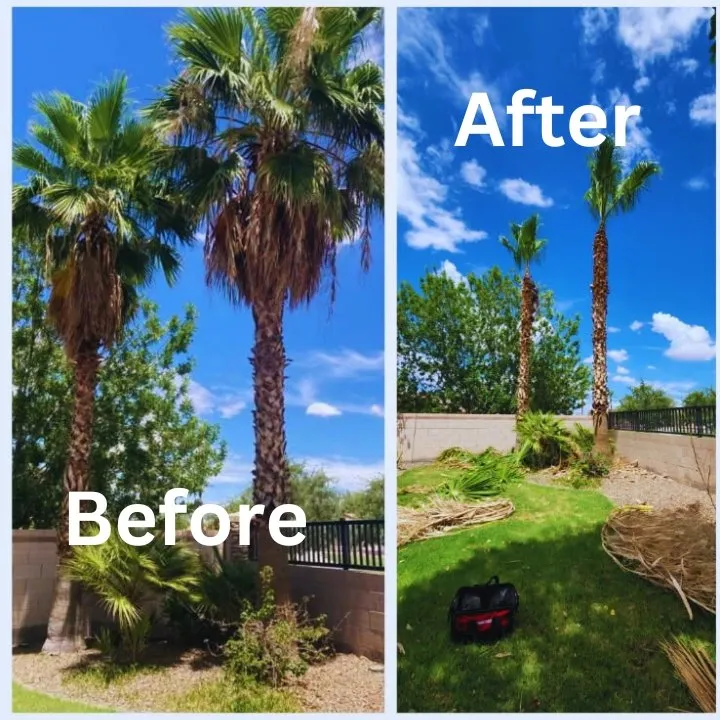 Top-rated outdoor landscaping in Phoenix, AZ - Angel Landscaping